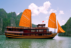 Calypso Cruise